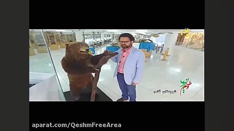 پوستر بزرگ