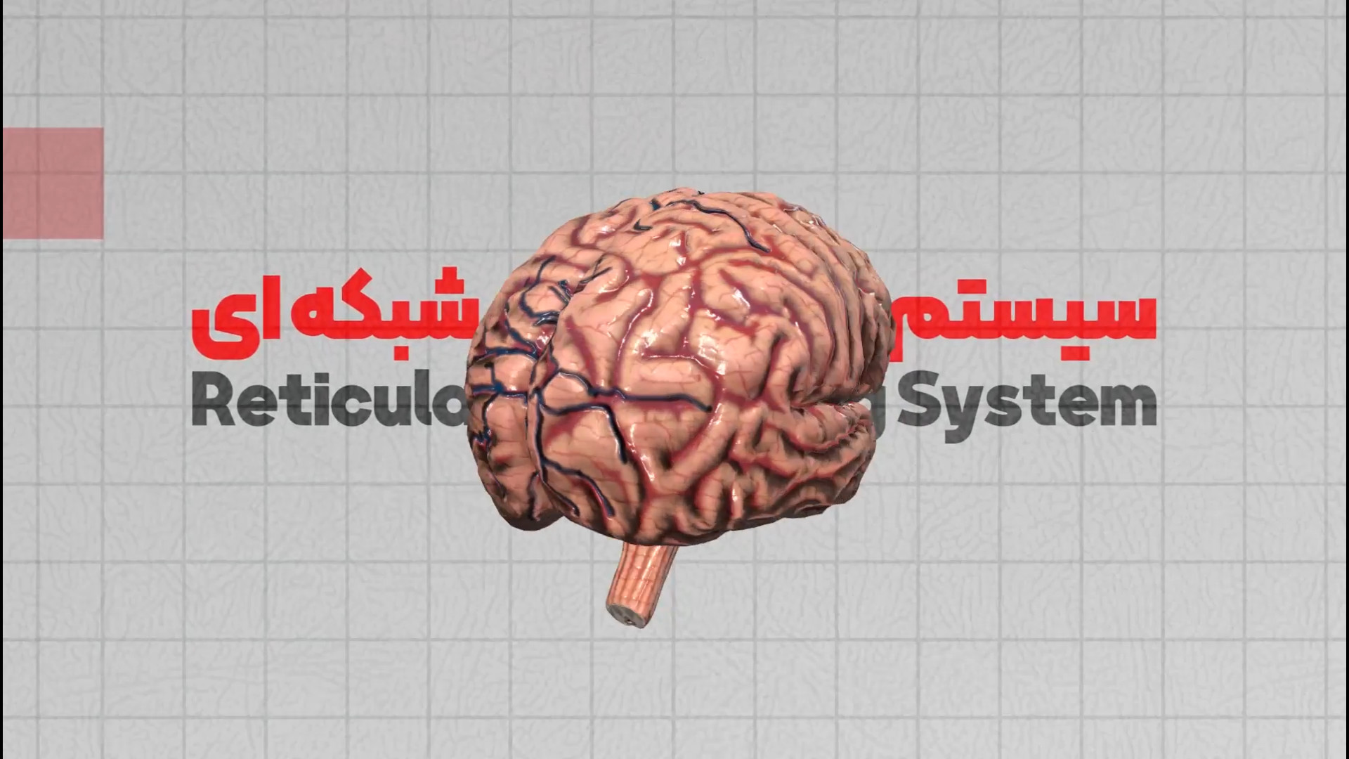 کلیپ / صفر تا صد قانون جذب به زبان علمی و ساده