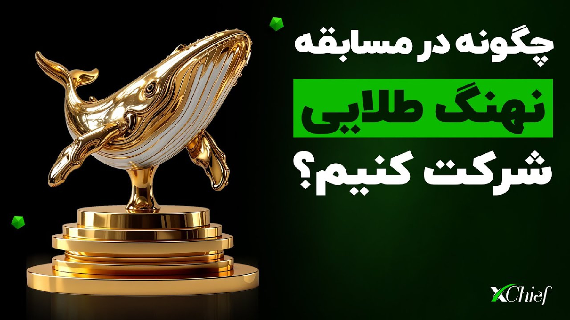مسابقه , نهنگ , طلایی , ایکس , چیف , شرکت , کنیم؟ , ثبت‌نام , ورود , بروکر , «ایکس , چیف» , رو , لینک , کلیک , معاملات , آغاز , کنید
https: , www , xchief , com , ?a=74f007