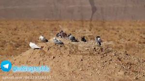 پاکسازی اطراف روستای سارمران د...