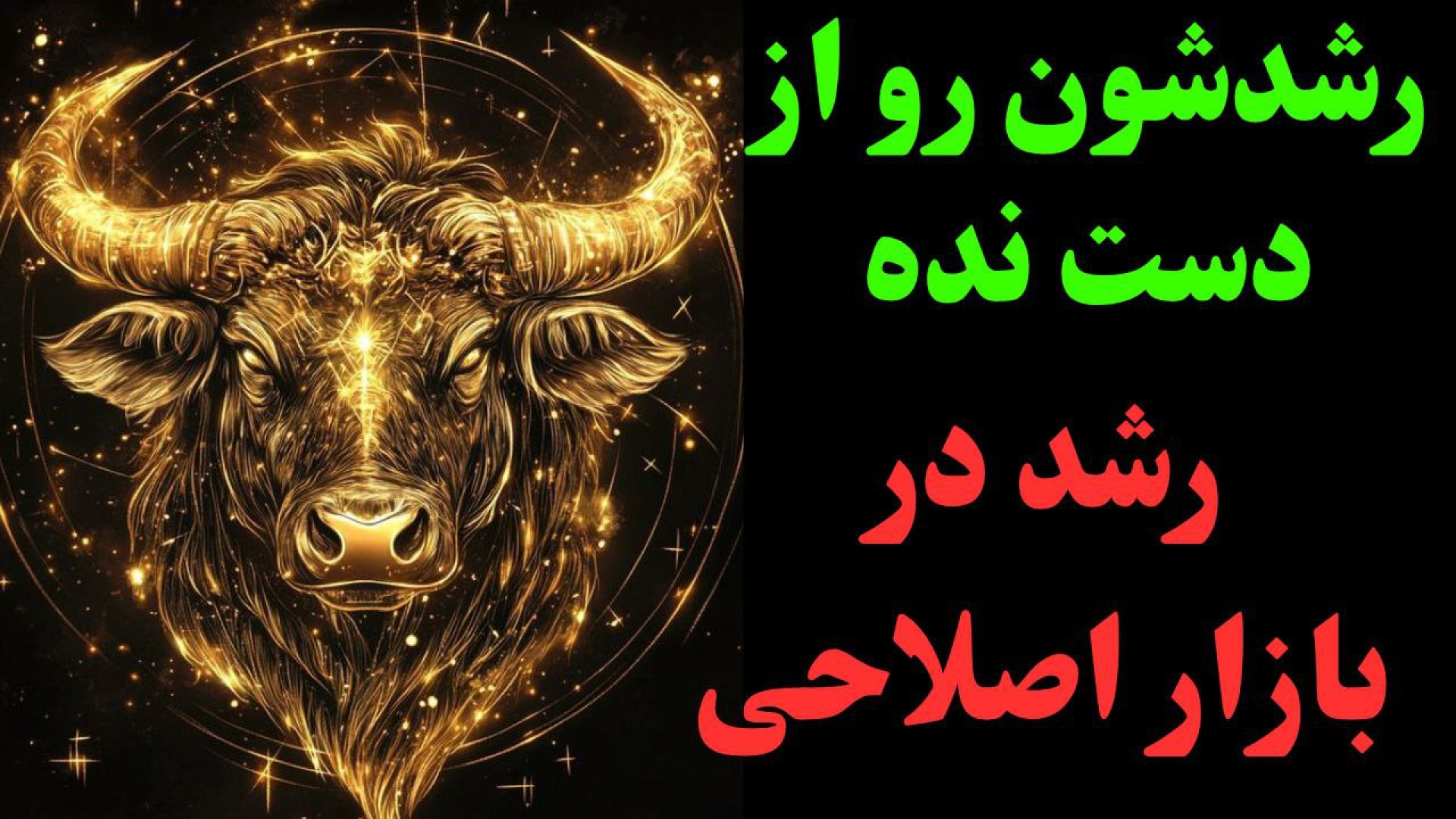 تحلیل , بیت , کوین , آلتکوین‌ها , | , BONK , MNT , SONIC , HLP , ASTER , ASTER

در , ویدئو , تیم , تحلیلی , کاراکو , آماده , ابتدا , ( , BTC , ) , اتریوم , ETH , تایم‌فریم‌های , روزانه , هفتگی , بررسی , کردیم , سراغ , آلت‌کوین , پرطرفدار , مستعد , رشد , رفتیم , ارزهایی , بونک , منتل , سونیک , هایپر , لیکویید , HYPE , آستر , محدوده‌های , مهمی , قرار , می‌توانند , فرصت‌های , جذابی , معامله‌گران , ایجاد , تحلیل‌ها , کمک , می‌کنه , دید , بهتری , وارد , هفته