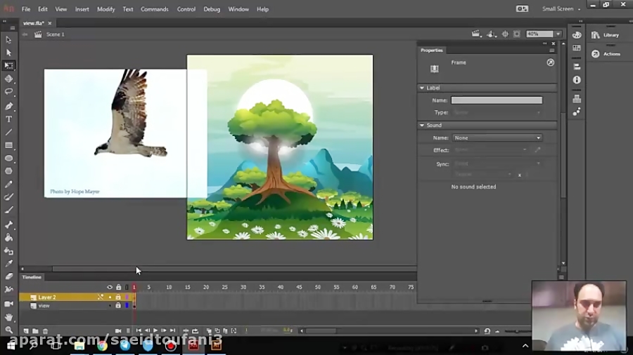 14 کاربرد paint bucket pen brush چیست Adobe Animate سعید طوفانی