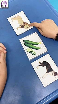 تمرین حافظه بینایی در کودکان؛ گامی برای تقویت یادگیری و تمرکز