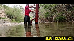 آدمک چوبی ، سی فو شایان فر