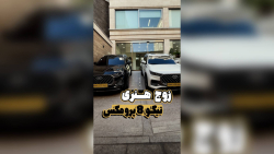 زوج هنری - حیدرخودرو