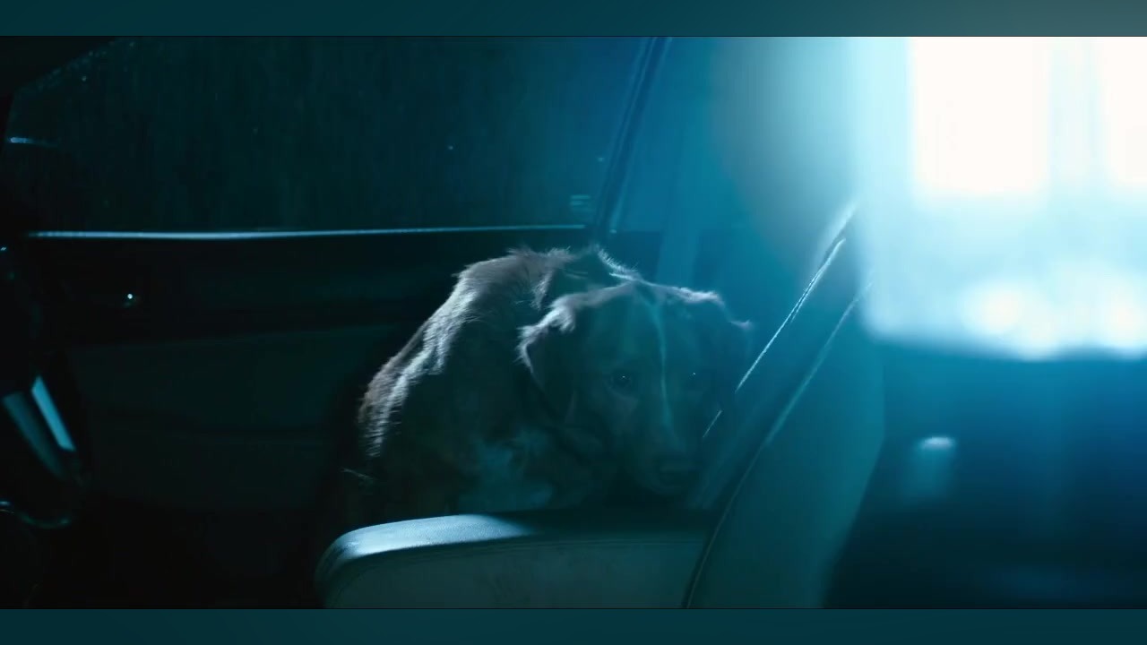 فیلم پسر خوب ۲۰۲۵ ترسناک دوبله فارسی Good Boy زمان4402ثانیه