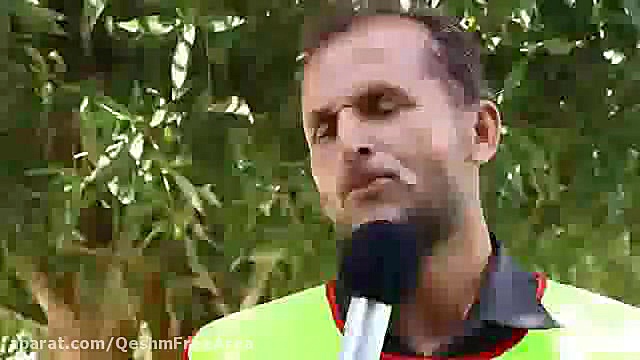 پوستر بزرگ