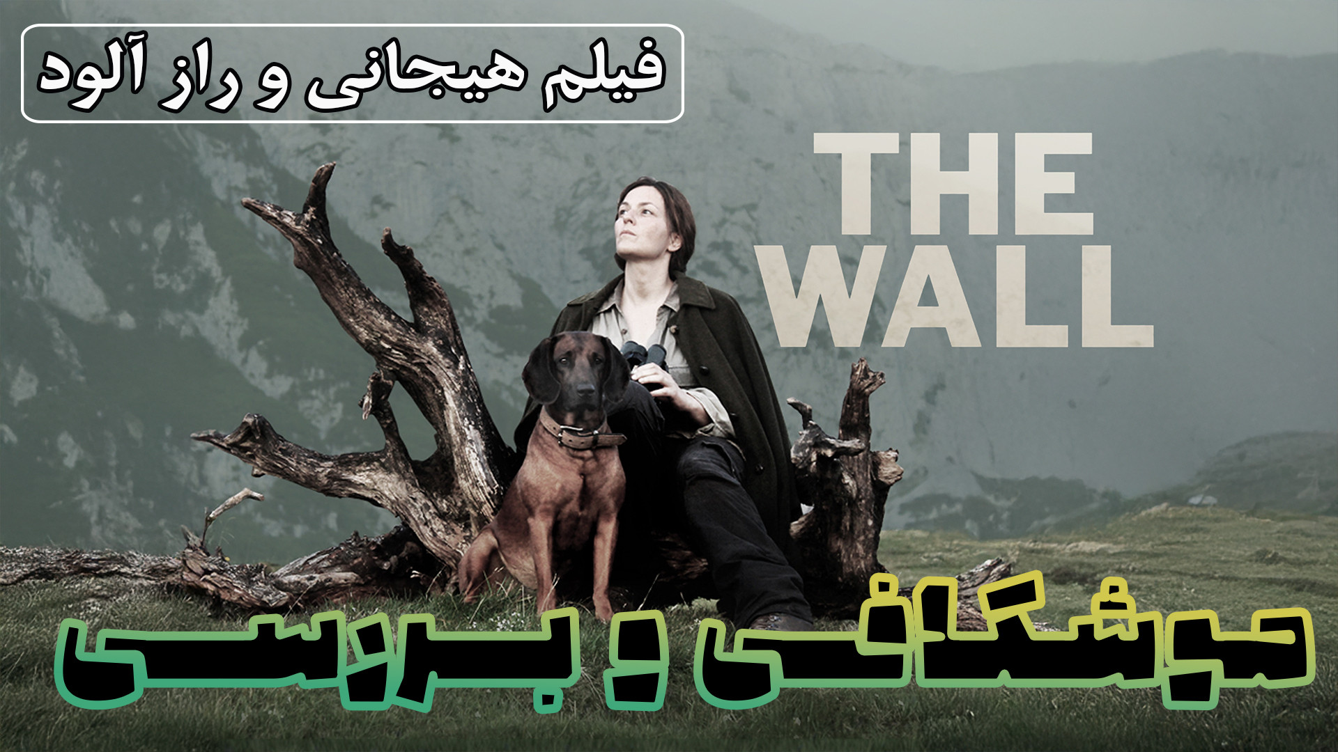 موشکافی و بررسی فیلم دیوار The Wall 2012 زمان225ثانیه
