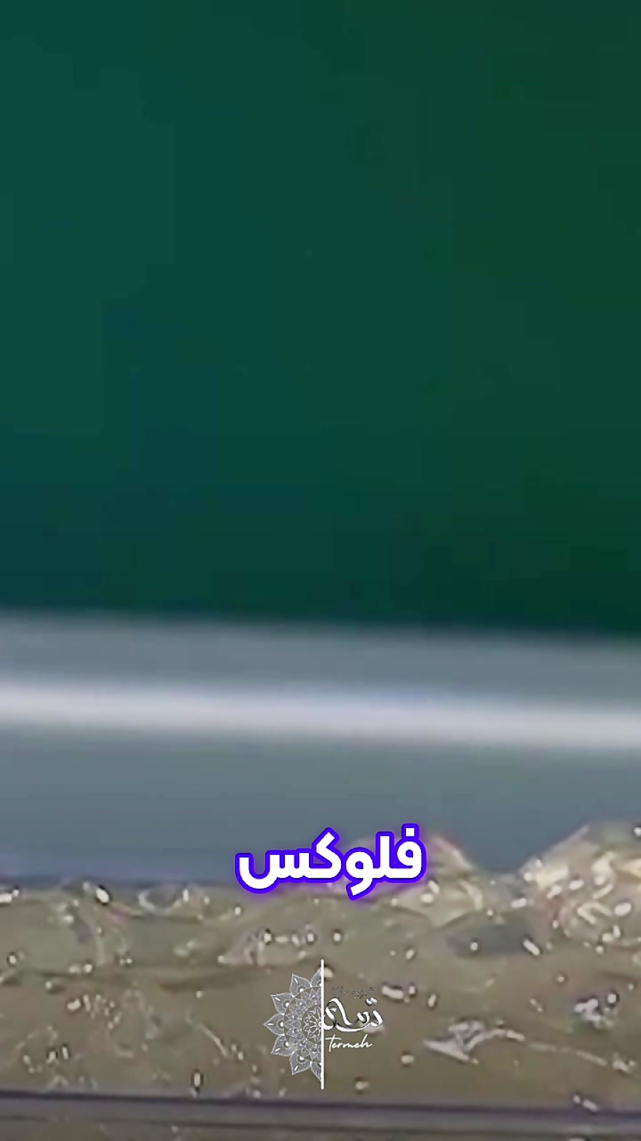 حواستون باشه چی می خوری!؟