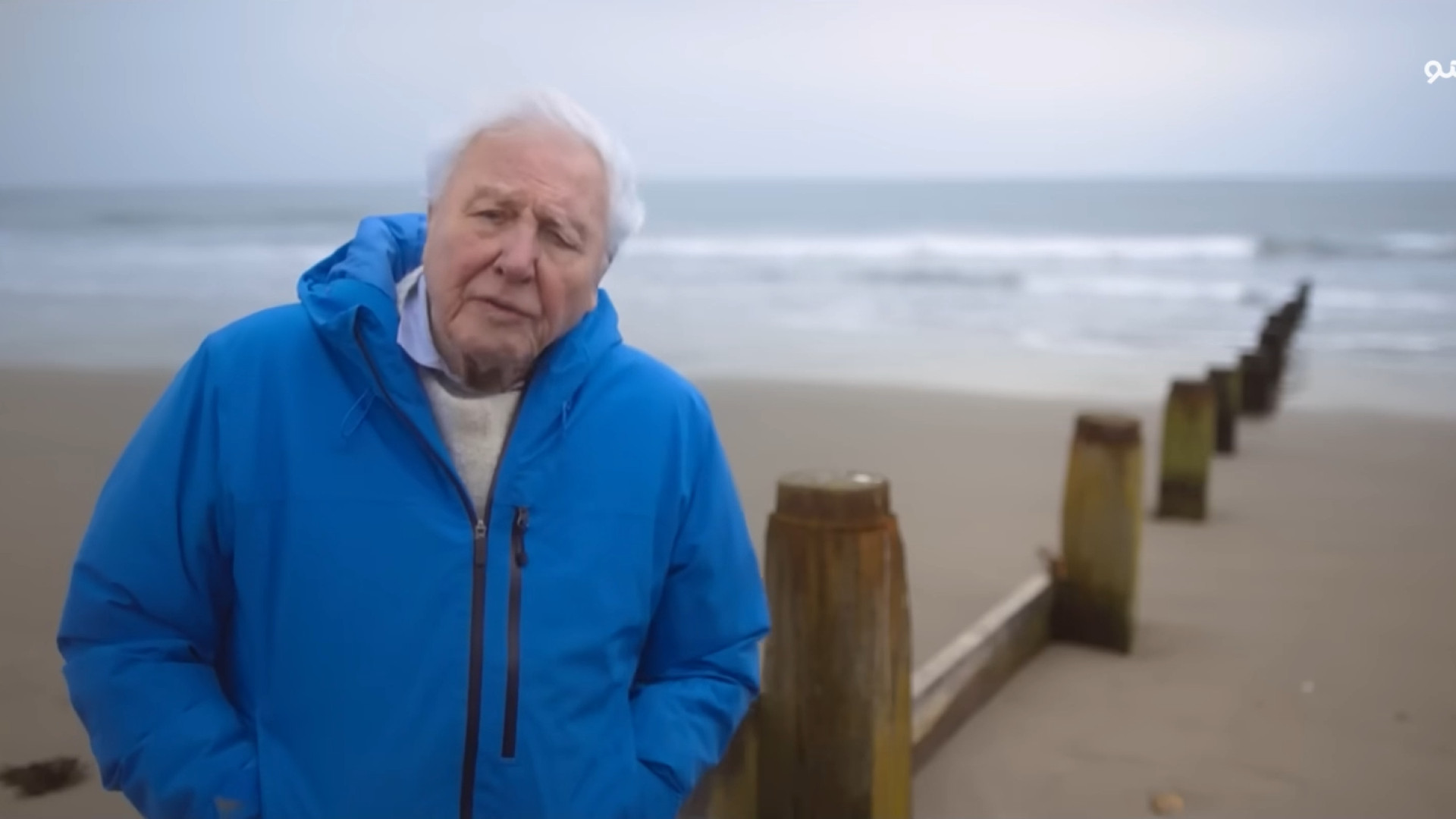 تیزر فیلم اقیانوس با دیوید آتنبرو Ocean with David Attenborough زمان127ثانیه