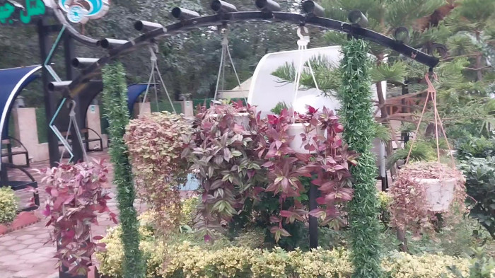 جداره سبز زیبا طبیعی و مصنوعی