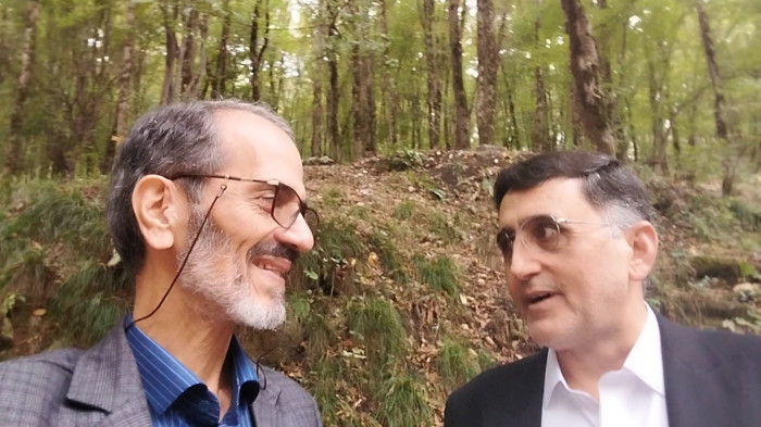 جنگل زیبای ناهار خوران گرگان