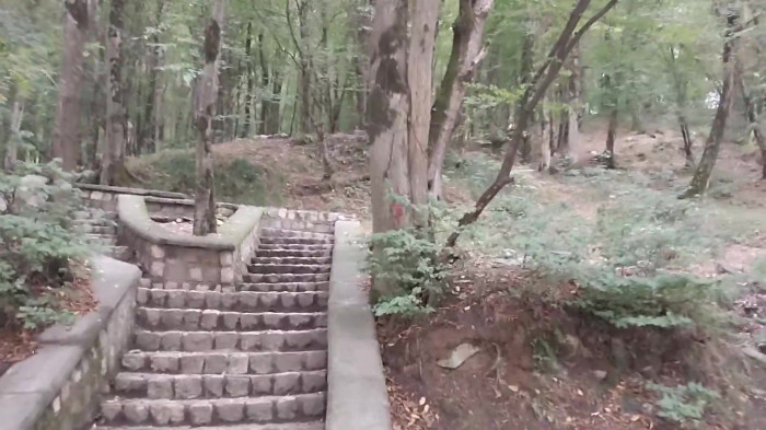 منطقه جنگلی ناهارخوران گرگان