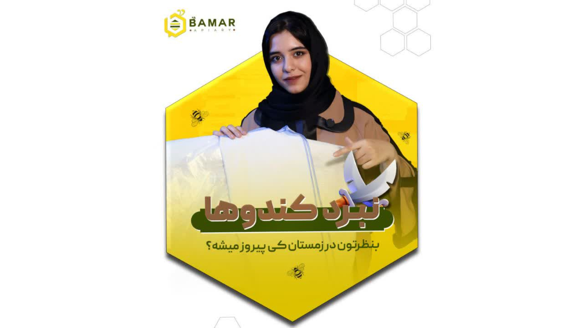 نبرد کندوها
