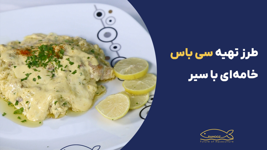 طرز تهیه فیله سی بس خامه‌ای با سیر