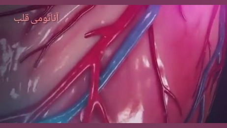 ساختار قلب زمان64ثانیه