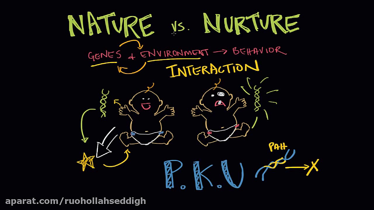 Gene environment interaction | Behavior | MCAT | Khan Academy چالش خرگوشی