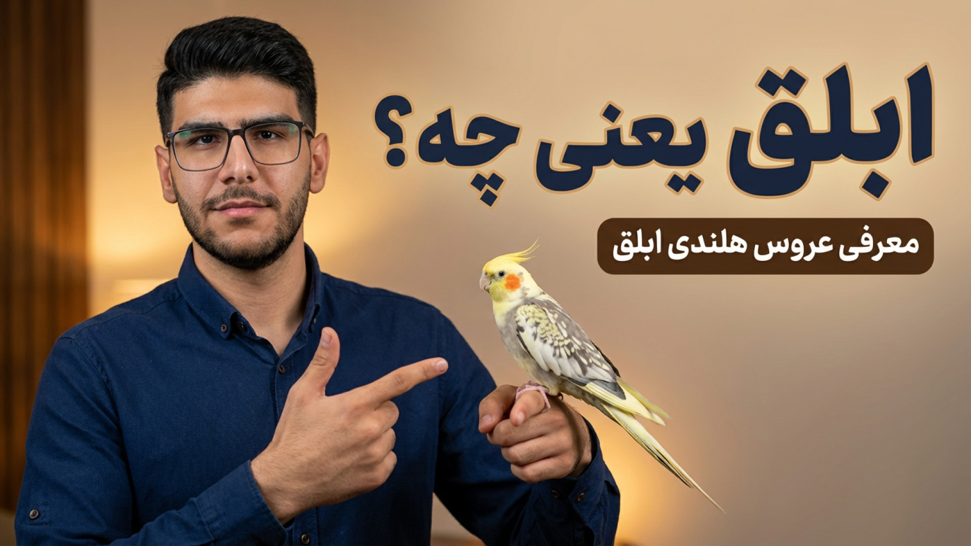 شناخت عروس هلندی ابلق (دو رنگ)، گرون بخرم یا ارزون؟ زمان238ثانیه