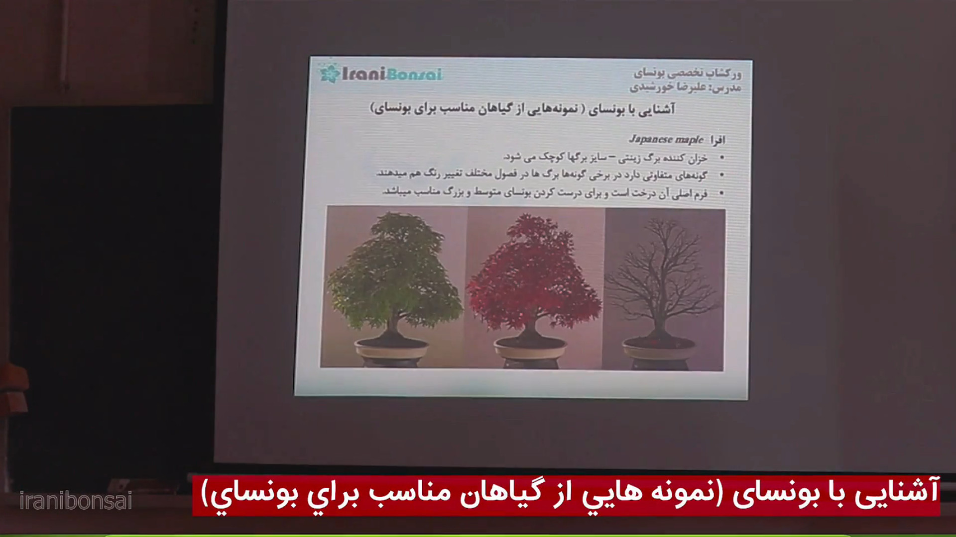 جلسه هفتم: کدوم گیاهان برای ساخت بن سای مناسب‌ترن؟ بهترین درختچه‌ها برای شروع زمان1858ثانیه