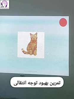 تمرین بهبود توجه انتقالی در کودکان