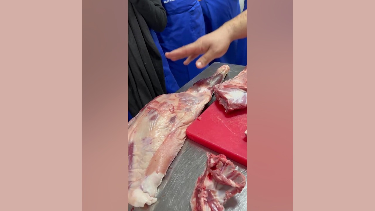 آموزش تفکیک قطعات لاشه | سرِ راست، گلوگاه، سینه، گردن، راسته زمان82ثانیه