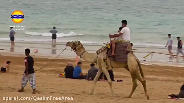 پوستر بزرگ