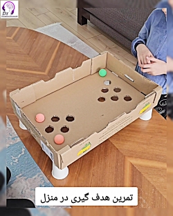 تمرین هدف‌گیری در منزل