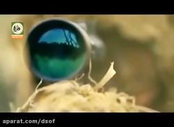 شکار افسران اسرائیلی توسط تک ت...