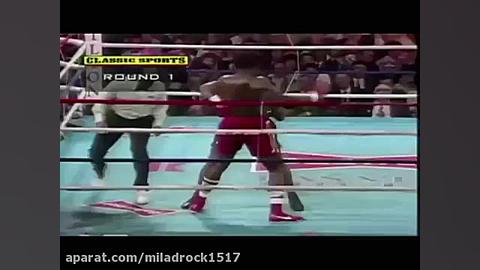 miladrock1517