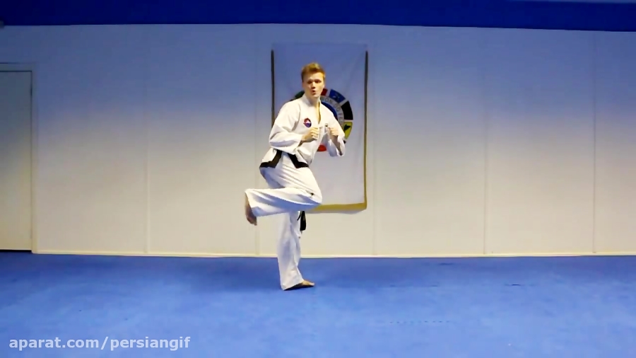 Taekwondo Spin Kick Tutorial at Theodore Holt blog