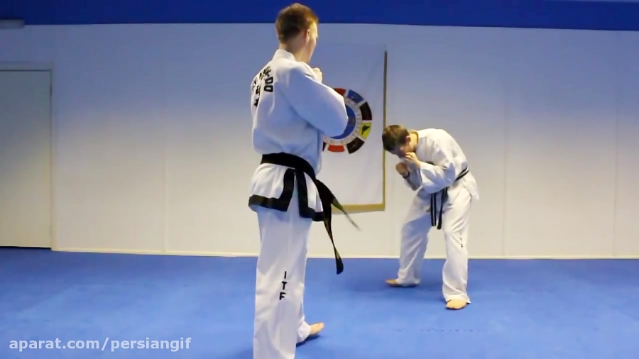 Taekwondo Front Snap Kick Tutorial GNT