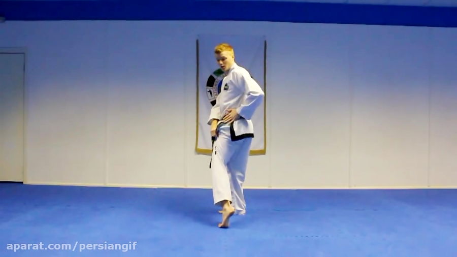 Taekwondo Spinning Hook Kick Tutorial GNT