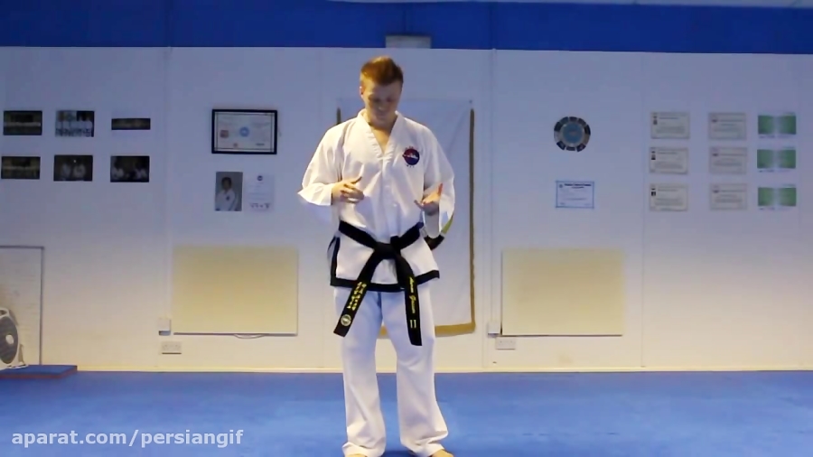 Taekwondo Side Kick Tutorial GNT