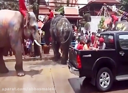 موج گرما و کم آبی در جنوب شرق...