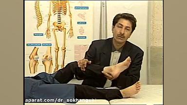 ناهنجاری های اسکلتی و عضلانی مجموعه دوم لیپوماتیک