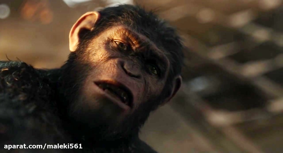 فیلم ظهور سیاره میمون ها 2014 Rise of the Planet of زمان199ثانیه