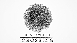 تریلر رسمی اعلام انتشار بازی Blackwood Crossing