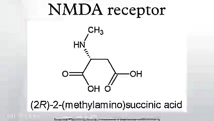 NMDA receptor پلاستیک لثه