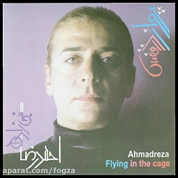 پرواز در قفس ، احمدرضا نبی زاد...