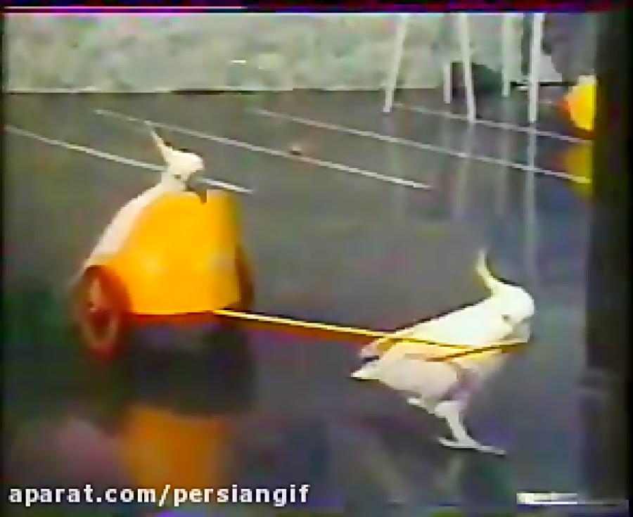 تیتراژ برنامه دیدنیها نوستالژی دهه 60 جلال مقامی Joel Fajerman