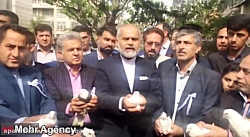 داوطلبی که کبوتر هوا کرد