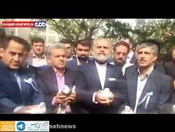 کبوتر هوا کردن یک داوطلب ریاست...