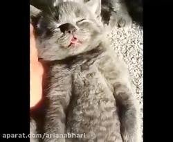 دابسمش کلیپ خنده دار 786