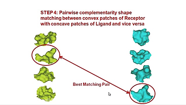 Protein-Protein Docking پلاستیک لثه
