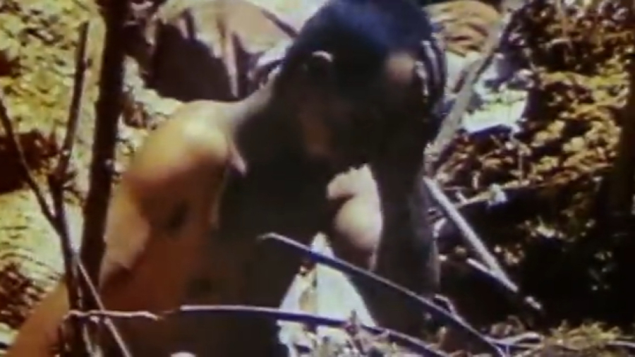 مستند جنگ ژاپن به صورت رنگی Japan's War in Color  2004 اختصاصی از جمال کیانی فر