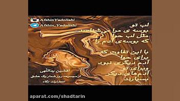 لب تو بوسه مرا میشناسد مثل لب حوا ... شعر افشین یداللهی زمان39ثانیه