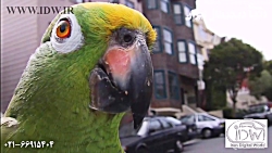 آموزشی 193 مبانی لنزهای عکاسی...