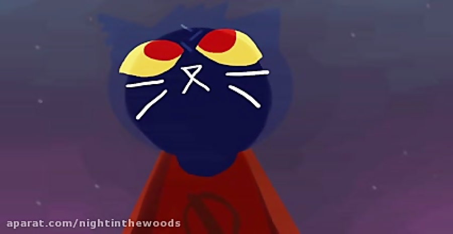 Sounds of silence (night in the woods)