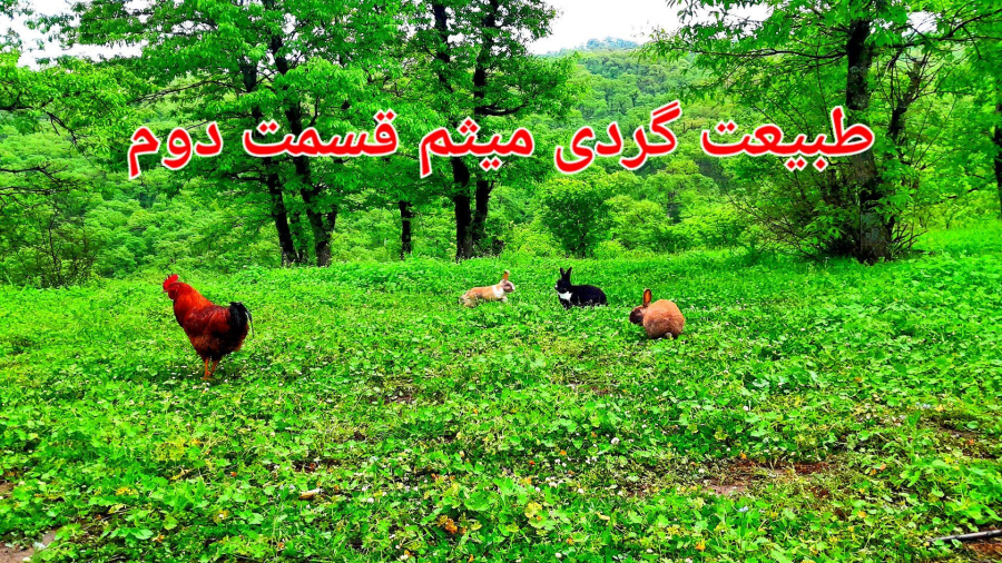 طبیعت‌گردی میثم 
قسمت دوم