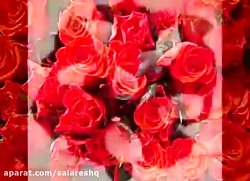 مولودی خوشگل اونائیکه عربی بلد...